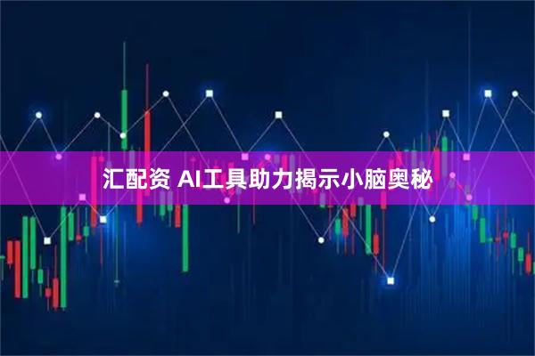 汇配资 AI工具助力揭示小脑奥秘