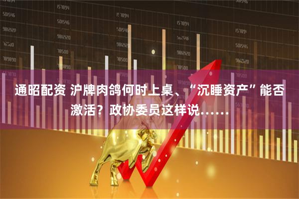 通昭配资 沪牌肉鸽何时上桌、“沉睡资产”能否激活？政协委员这样说……