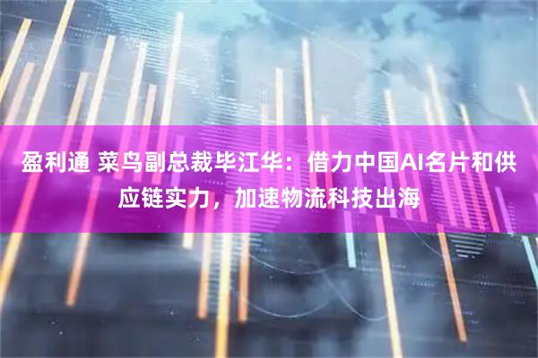 盈利通 菜鸟副总裁毕江华：借力中国AI名片和供应链实力，加速物流科技出海