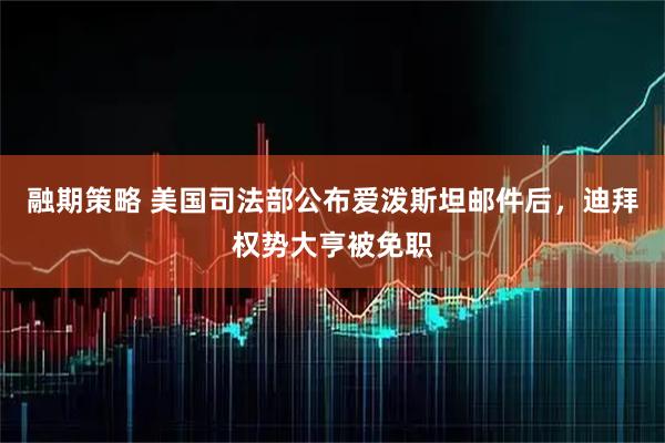 融期策略 美国司法部公布爱泼斯坦邮件后，迪拜权势大亨被免职