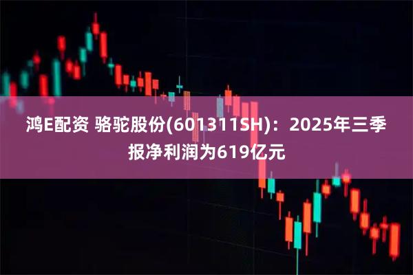 鸿E配资 骆驼股份(601311SH)：2025年三季报净利润为619亿元