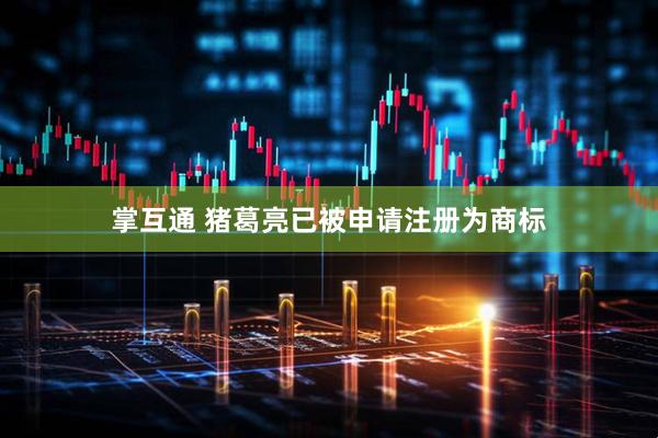 掌互通 猪葛亮已被申请注册为商标