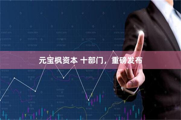 元宝枫资本 十部门，重磅发布